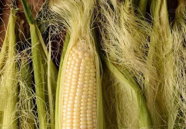 Yu Mi Xu — corn silk